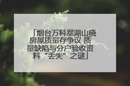 烟台万科翠湖山晓房屋质量存争议 质量缺陷与分户验收资料“丢失”之谜