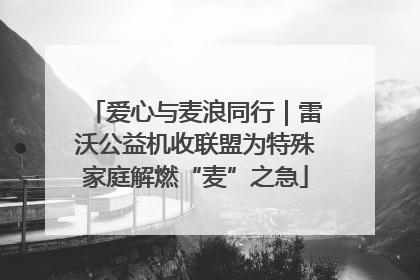 爱心与麦浪同行｜雷沃公益机收联盟为特殊家庭解燃“麦”之急