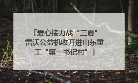 爱心接力战“三夏” 雷沃公益机收开进山东重工“第一书记村”