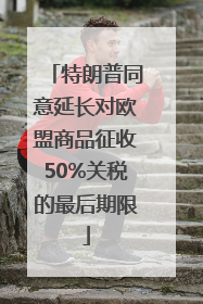 特朗普同意延长对欧盟商品征收50%关税的最后期限