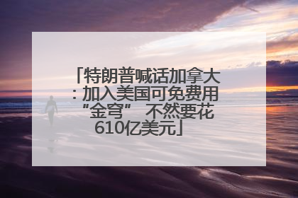 特朗普喊话加拿大：加入美国可免费用“金穹” 不然要花610亿美元