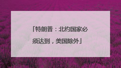 特朗普：北约国家必须达到，美国除外