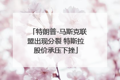 特朗普-马斯克联盟出现分裂 特斯拉股价承压下挫