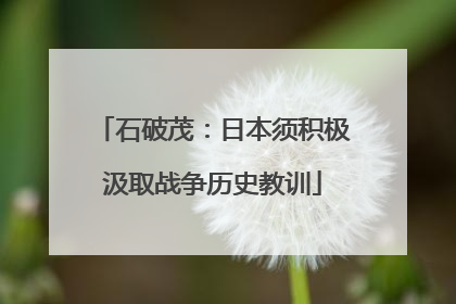石破茂：日本须积极汲取战争历史教训