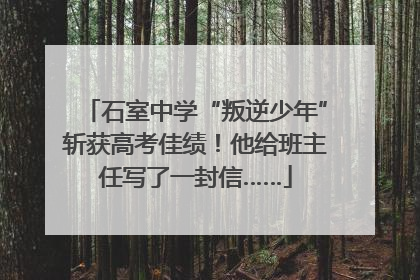 石室中学“叛逆少年”斩获高考佳绩！他给班主任写了一封信……