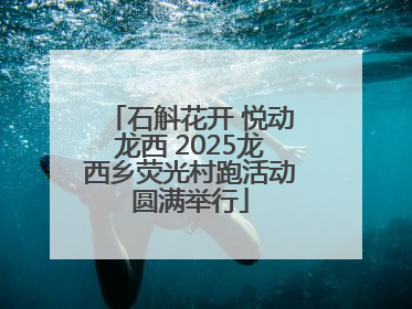 石斛花开 悦动龙西 2025龙西乡荧光村跑活动圆满举行