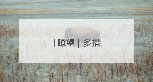 瞭望｜多措并举稳外贸