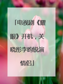 电视剧《耀眼》开机，关晓彤李昀锐演情侣