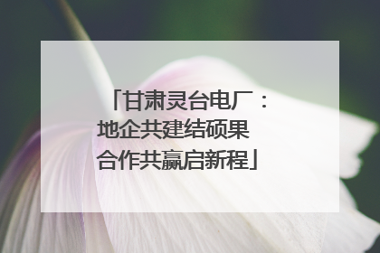 甘肃灵台电厂：地企共建结硕果 合作共赢启新程