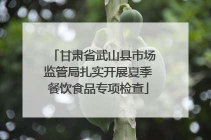 甘肃省武山县市场监管局扎实开展夏季餐饮食品专项检查