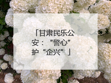 甘肃民乐公安：“警心”护“企兴”