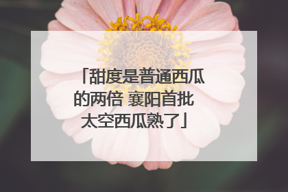 甜度是普通西瓜的两倍 襄阳首批太空西瓜熟了