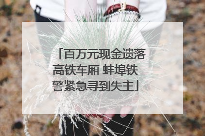 百万元现金遗落高铁车厢 蚌埠铁警紧急寻到失主
