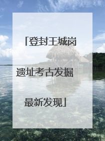 登封王城岗遗址考古发掘最新发现