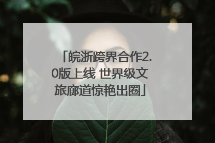 皖浙跨界合作2.0版上线 世界级文旅廊道惊艳出圈