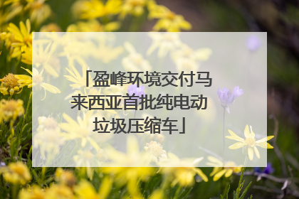 盈峰环境交付马来西亚首批纯电动垃圾压缩车