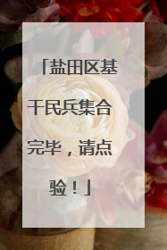 盐田区基干民兵集合完毕，请点验！