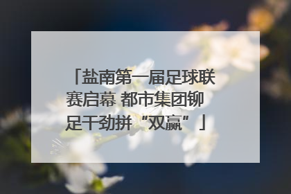 盐南第一届足球联赛启幕 都市集团铆足干劲拼“双赢”