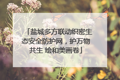 盐城多方联动织密生态安全防护网，护万物共生 绘和美画卷
