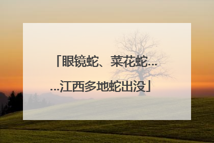 眼镜蛇、菜花蛇……江西多地蛇出没