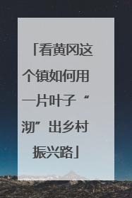 看黄冈这个镇如何用一片叶子“沏”出乡村振兴路