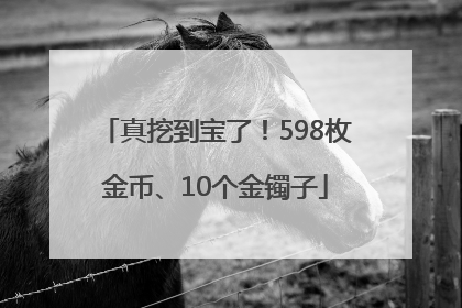 真挖到宝了！598枚金币、10个金镯子