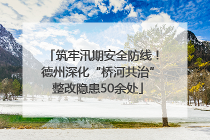 筑牢汛期安全防线！德州深化“桥河共治”整改隐患50余处