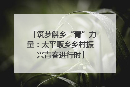筑梦斛乡“青”力量：太平畈乡乡村振兴青春进行时