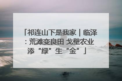 祁连山下是我家｜临泽：荒滩变良田 戈壁农业添“绿”生“金”