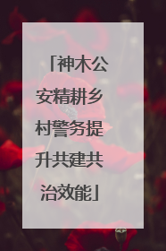 神木公安精耕乡村警务提升共建共治效能
