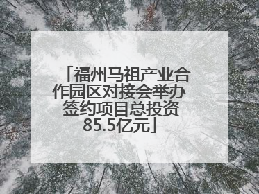 福州马祖产业合作园区对接会举办 签约项目总投资85.5亿元