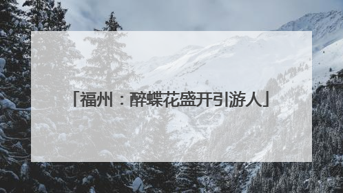 福州：醉蝶花盛开引游人
