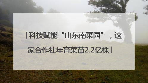 科技赋能“山东南菜园”，这家合作社年育菜苗2.2亿株