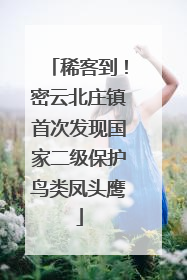 稀客到！密云北庄镇首次发现国家二级保护鸟类凤头鹰
