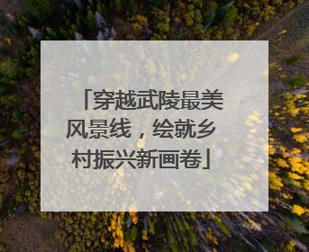 穿越武陵最美风景线，绘就乡村振兴新画卷