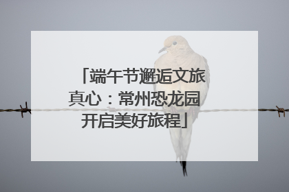 端午节邂逅文旅真心：常州恐龙园开启美好旅程