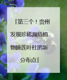 第三个！贵州发现珍稀濒危植物睡莲叶杜鹃新分布点