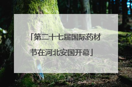 第二十七届国际药材节在河北安国开幕