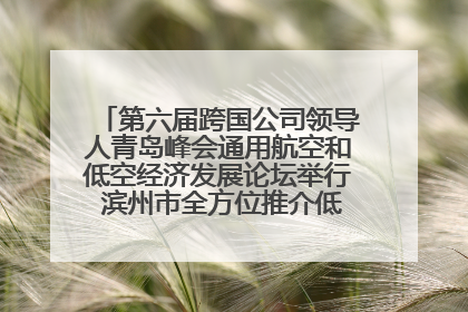 第六届跨国公司领导人青岛峰会通用航空和低空经济发展论坛举行 滨州市全方位推介低空经济发展优势