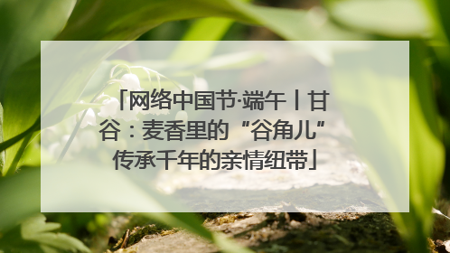 网络中国节·端午丨甘谷：麦香里的“谷角儿” 传承千年的亲情纽带