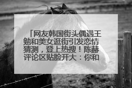 网友韩国街头偶遇王勉和美女逛街引发恋情猜测，登上热搜！陈赫评论区贴脸开大：你和谁逛街？我也想知道