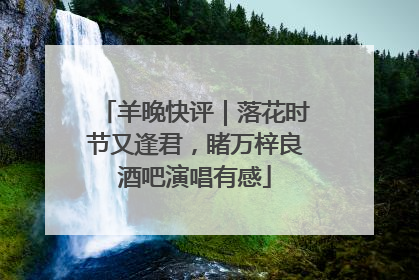 羊晚快评｜落花时节又逢君，睹万梓良酒吧演唱有感