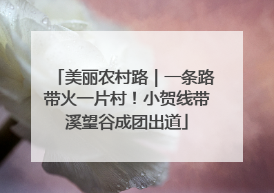 美丽农村路｜一条路带火一片村！小贺线带溪望谷成团出道