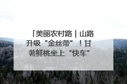 美丽农村路｜山路升级“金丝带”！甘薯鲜桃坐上“快车”，开去大市场