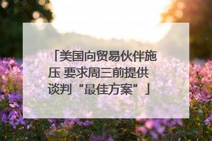 美国向贸易伙伴施压 要求周三前提供谈判“最佳方案”