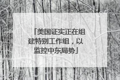 美国证实正在组建特别工作组，以监控中东局势