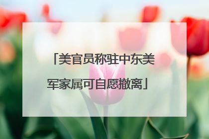 美官员称驻中东美军家属可自愿撤离