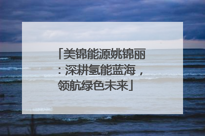 美锦能源姚锦丽：深耕氢能蓝海，领航绿色未来