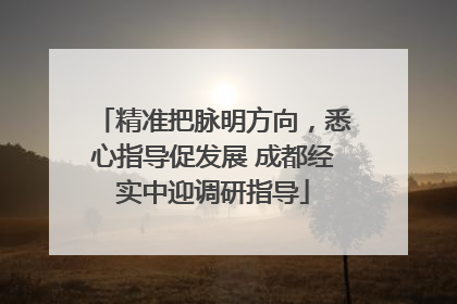 精准把脉明方向，悉心指导促发展 成都经实中迎调研指导