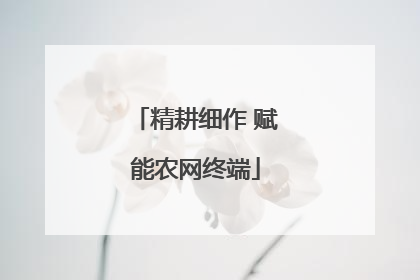 精耕细作 赋能农网终端